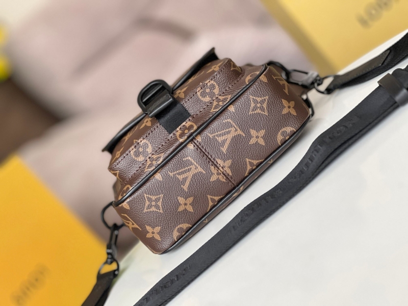 LV Satchel bags